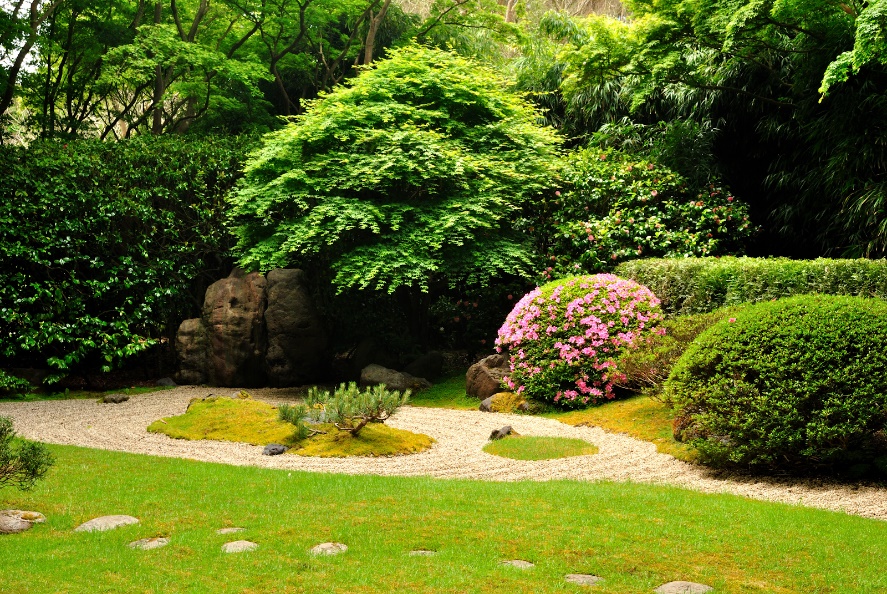 Attrezzi e macchine per il giardinaggio e la manutenzione del verde