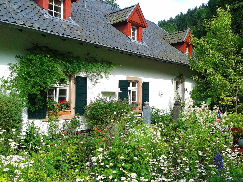 Quali sono i problemi più comuni dei giardini di casa? Le difficoltà che potresti sperimentare nella cura dello spazio verde esterno della tua abitazione